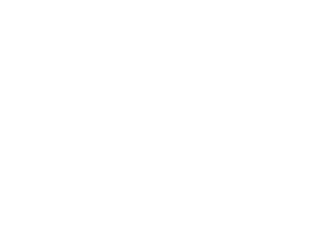hackerbruecke.org