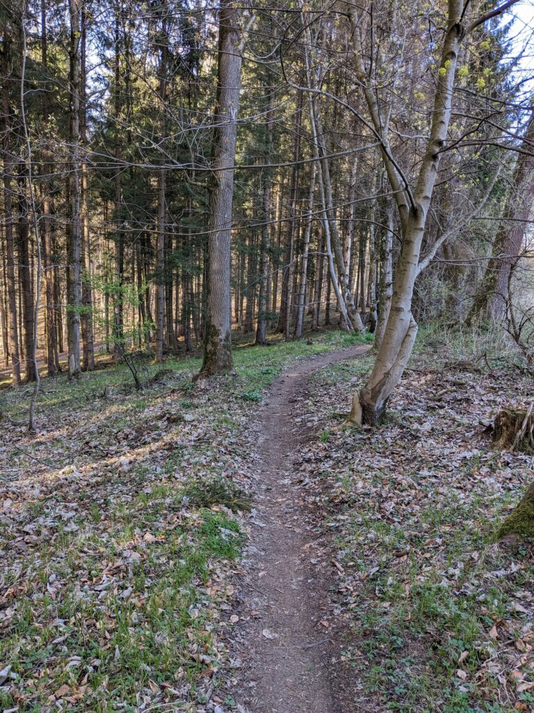 Trail durch einen Wald.