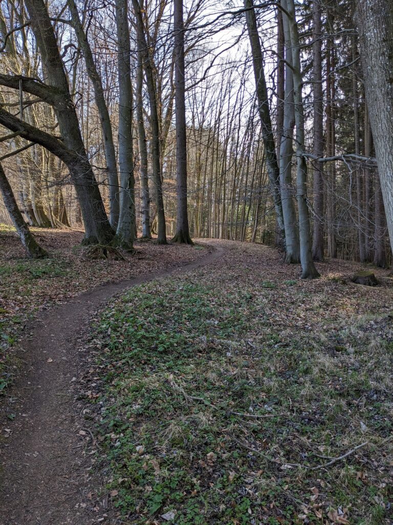 Trail durch einen Wald.
